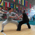 Международный турнир по боевым искусствам в г. Чжэнчжоу